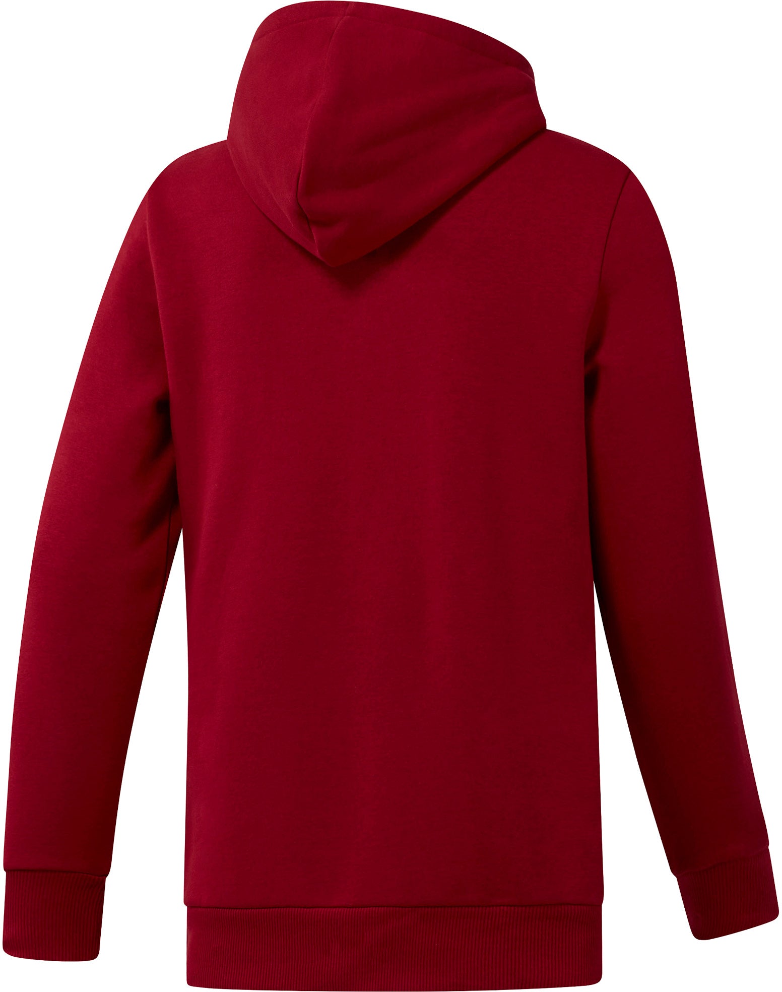 Classics Big Logo Hoodie